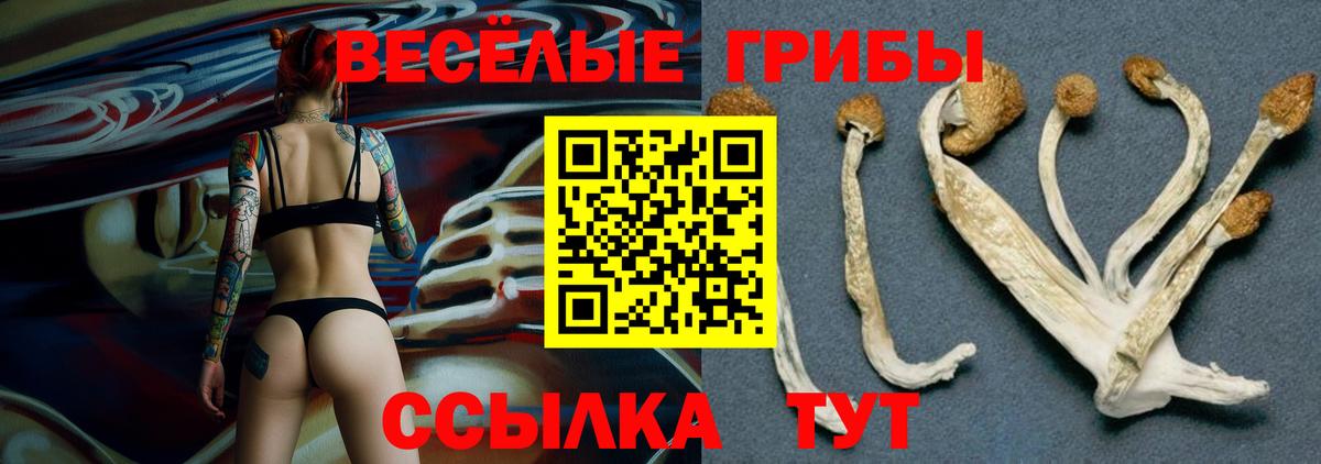 Изобильный  Галлюциногенные грибы мухоморы  Вход с VPN 